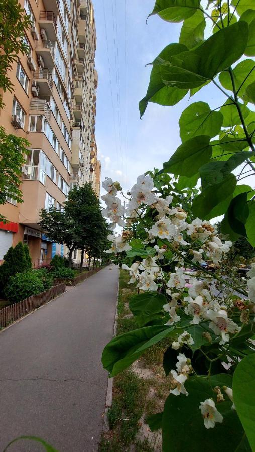 Просторі Апартаменти キエフ エクステリア 写真